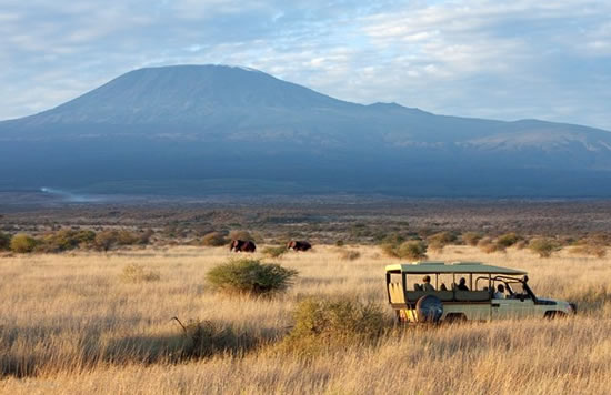 Amboseli and Tsavo Safari from Nairobi